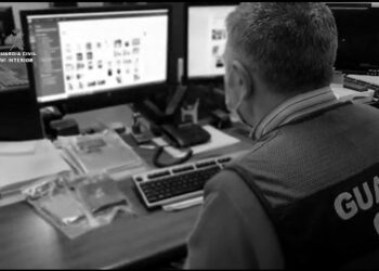 La Guardia Civil detiene a dos presuntos pederastas que contactaban con los menores a través de juegos online
