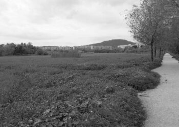 Alcalá, única ciudad española incluida en el Proyecto Europeo Nature4Cities por su Bosque Comestible