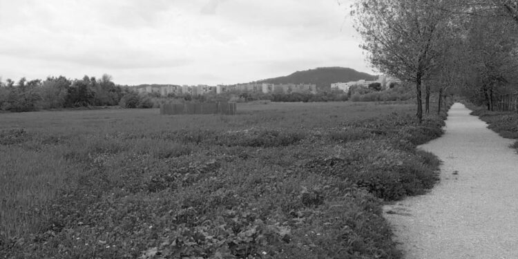 Alcalá, única ciudad española incluida en el Proyecto Europeo Nature4Cities por su Bosque Comestible