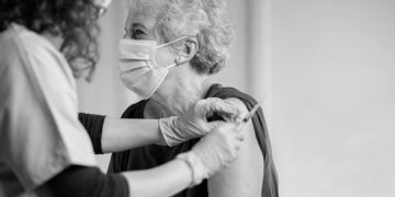 El halcón peregrino cría por segunda vez en el casco urbano de Alcalá de Henares