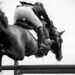 Alcalá acogerá el Concurso Hípico Nacional 3* este fin de semana