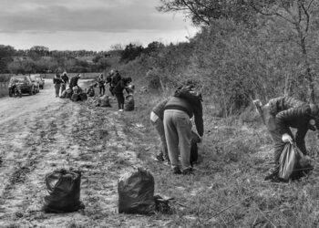 El Ayuntamiento de Torres pone en marcha una jornada de Educación Ambiental el 5 de junio