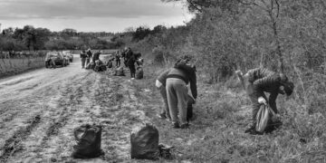El Ayuntamiento de Torres pone en marcha una jornada de Educación Ambiental el 5 de junio