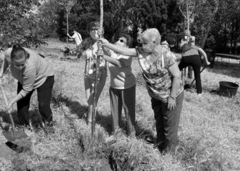 Primera actividad presencial para mayores de Torres de la Alameda