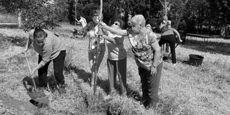 Primera actividad presencial para mayores de Torres de la Alameda