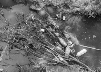 El 6 de junio, nueva jornada del proyecto de limpieza del Jarama ‘Limpia ríos, salva océanos’, con voluntarios de Paracuellos