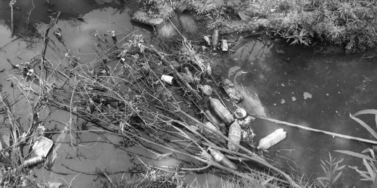 El 6 de junio, nueva jornada del proyecto de limpieza del Jarama ‘Limpia ríos, salva océanos’, con voluntarios de Paracuellos