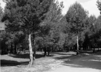 Coslada solicita la inclusión del Parque del Humedal en el Arco Verde de la Comunidad de Madrid