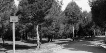 Coslada solicita la inclusión del Parque del Humedal en el Arco Verde de la Comunidad de Madrid