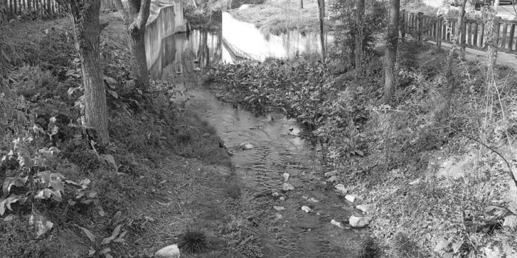 El Arroyo Camarmilla tendrá una pasarela peatonal a  la altura del CEIP Pablo Neruda, si es  aprobada por la Confederación Hidrográfica del Tajo