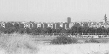 Medio Ambiente inicia la campaña de desbroce de parcelas municipales para evitar peligro de incendio