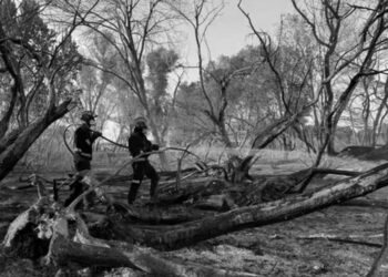 Extinguido el incendio de Fuente El Saz