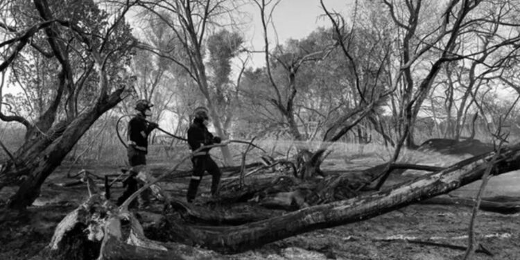 Extinguido el incendio de Fuente El Saz