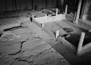 Comienzan los trabajos de restauración de la Casa de los Grifos de Complutum