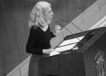 Más Madrid solicita información al gobierno regional sobre la cesión de suelo público al cantante Nacho Cano