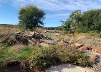 Adjudicados los trabajos de limpieza y gestión de residuos de diversos espacios municipales