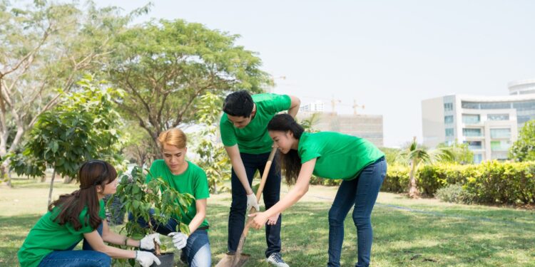 El Ayuntamiento plantará nuevos árboles y arbustos