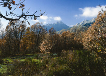 La Comunidad de Madrid aprueba una línea de ayudas para los montes de la región