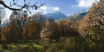 La Comunidad de Madrid aprueba una línea de ayudas para los montes de la región