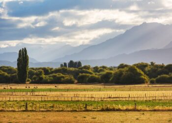 Puesta en marcha de la iniciativa sobre la protección y restauración ecológica de los espacios naturales del municipio