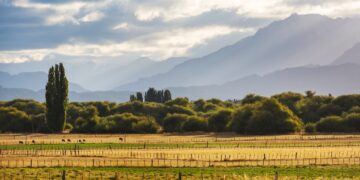 Puesta en marcha de la iniciativa sobre la protección y restauración ecológica de los espacios naturales del municipio