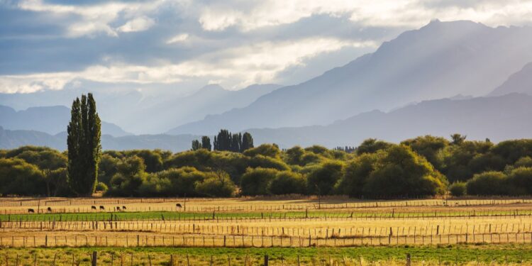 Puesta en marcha de la iniciativa sobre la protección y restauración ecológica de los espacios naturales del municipio