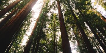 Alcalá de Henares vuelve a disfrutar de sus rutas ambientales guiadas