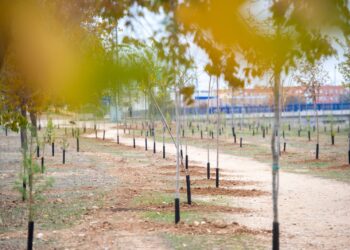 La ciudad complutense incrementa su Patrimonio Verde con una nueva plantación de 1000 especies arbóreas