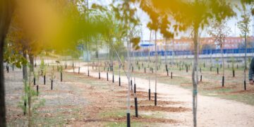 La ciudad complutense incrementa su Patrimonio Verde con una nueva plantación de 1000 especies arbóreas
