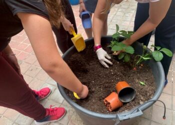 Ecoescuelas triplica el número de centros educativos alcalaínos inscritos