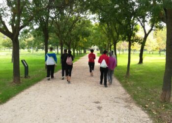 Durante los sábados y domingos de noviembre, se ofrecen rutas ambientales guiadas de Alcalá de Henares