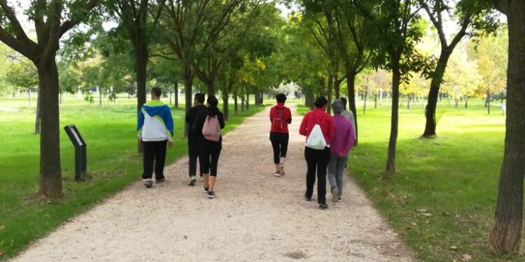 Durante los sábados y domingos de noviembre, se ofrecen rutas ambientales guiadas de Alcalá de Henares