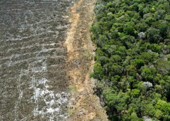 La minería amenaza a los pueblos indígenas aislados en la Amazonía brasileña