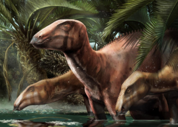 Nuevos especímenes de dinosaurio reescriben la geografía del Mediterráneo hace 80 millones de años