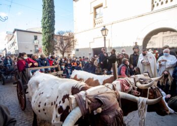 Éxito de público en la celebración de San Antón en Alcalá de Henares