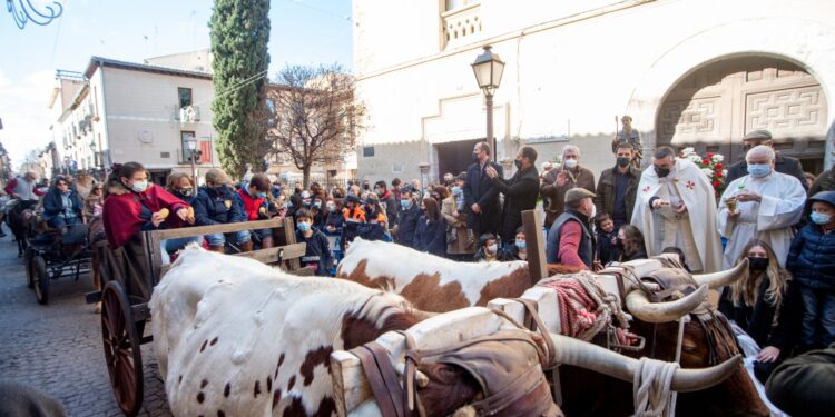 Éxito de público en la celebración de San Antón en Alcalá de Henares