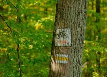 Alcalá celebra el Día Internacional de la Educación Ambiental con nuevas rutas ambientales