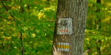 Alcalá celebra el Día Internacional de la Educación Ambiental con nuevas rutas ambientales