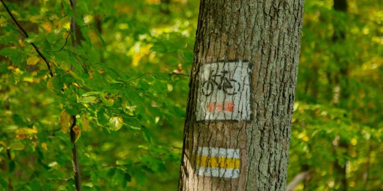 Alcalá celebra el Día Internacional de la Educación Ambiental con nuevas rutas ambientales