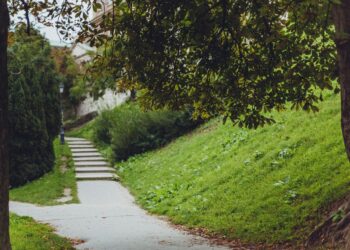 En marcha «Alcalá al Parque», un proyecto de promoción del uso de elementos biosaludables