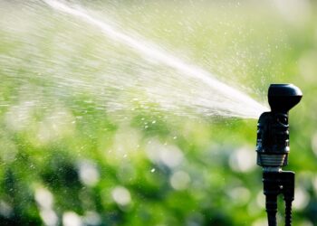 Las zonas verdes del Distrito II contarán con un sistema de gestión remota centralizado de la red de riego