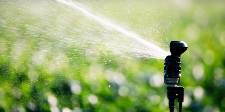 Las zonas verdes del Distrito II contarán con un sistema de gestión remota centralizado de la red de riego