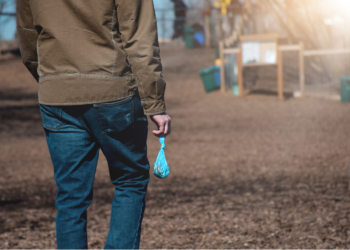 Alcalá lanzará la mayor campaña para la protección animal y frente a las heces caninas en la vía pública