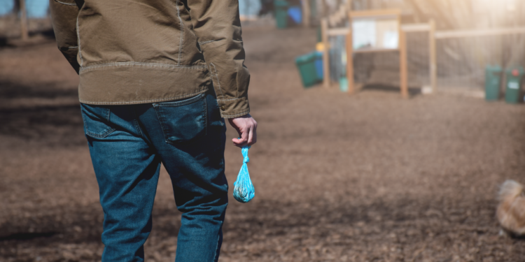 Alcalá lanzará la mayor campaña para la protección animal y frente a las heces caninas en la vía pública
