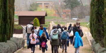 Continúan los talleres escolares en la Casa de los Grifos de Complutum