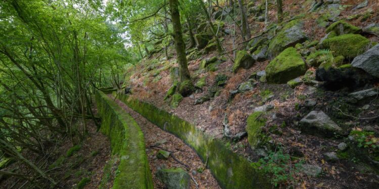 Ocio Verde Alcalá presenta la nueva programación de rutas ambientales