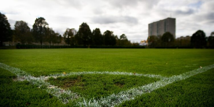 El barrio El Olivar contará con un espacio deportivo y recreativo