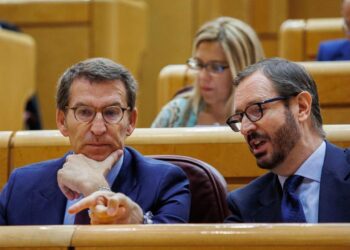 Feijóo vota a favor de la reforma de Sánchez para el TC en el Senado por error