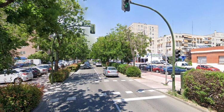 El Paseo de Pastrana se verá afectado por cortes al tráfico debido a las obras de mejora