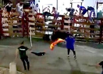 Muere un hombre de 30 años corneado por un toro en los encierros de Navalcarnero